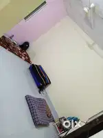 Need three girls roommates