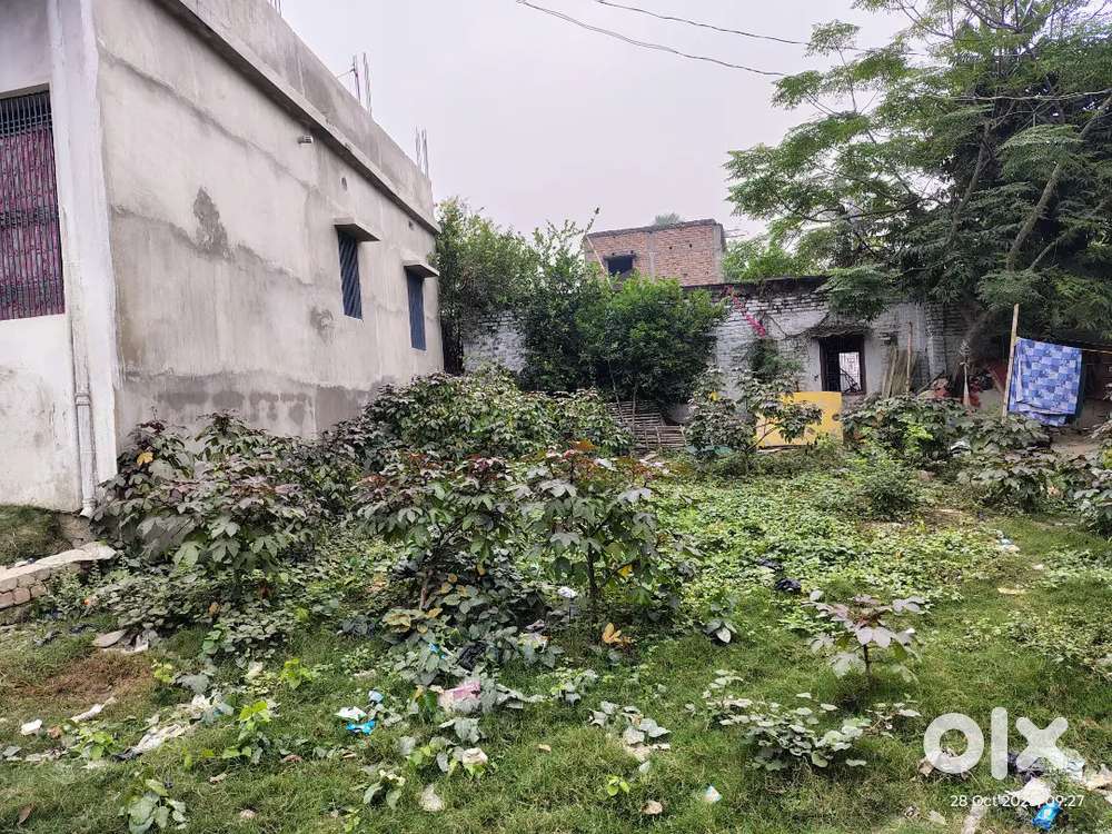 10 dhur plots, with faces