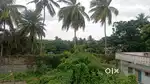 This property is near by Birla school. It  1km meter to national park