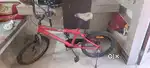 Fantam Neon 20 inch suitable for 5 to 10 years