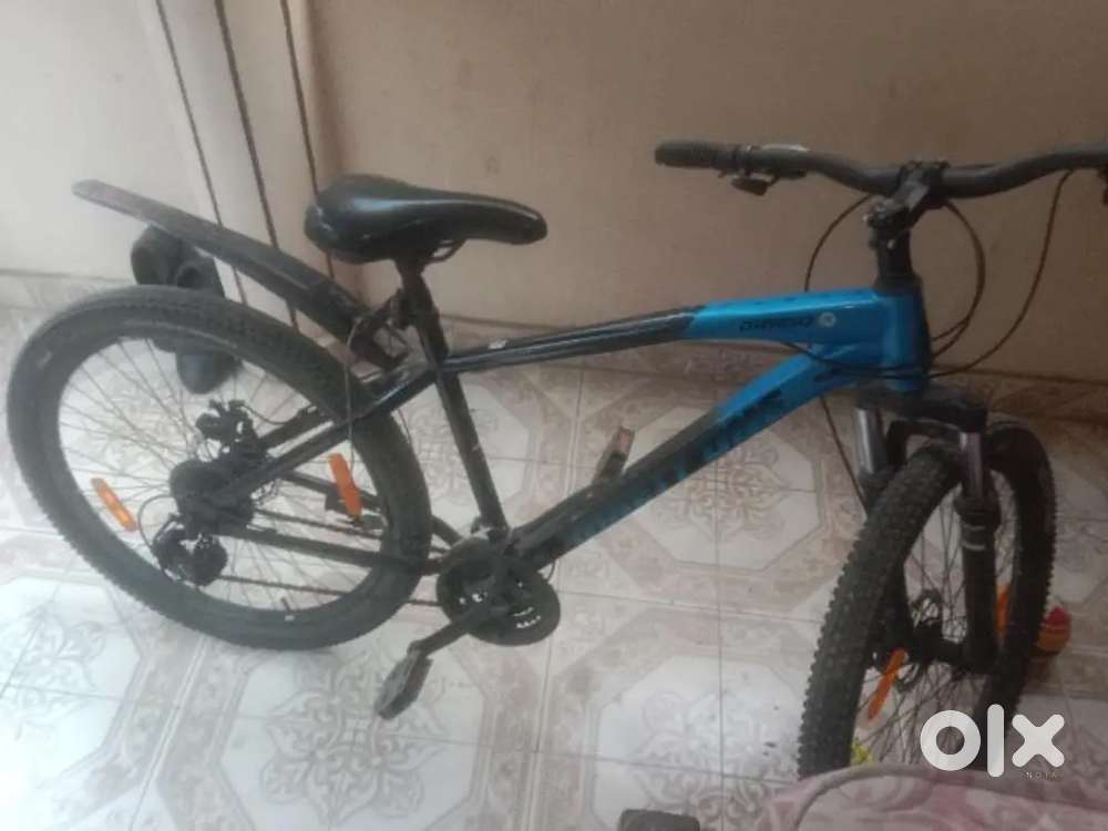 Dragon 91 taken it fast