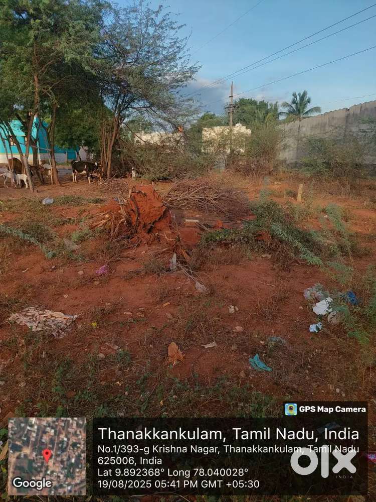 Thankankulam premium plot for sale