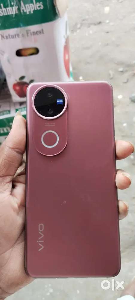 Vivo v50 5g 8/128