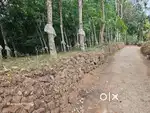 Bharananganam - Near Edamattom ,  2.5 Acre Land For Sale
