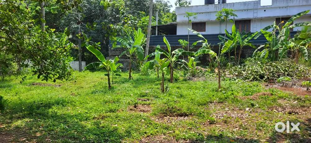 Land for Sale/ 8L / cent