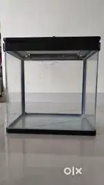 Fish Tank and Free accessories