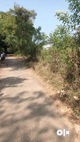 67 cent  good Sq land  in residential area  palakkad menonpara  in re