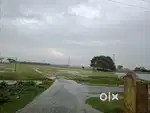prime location plot