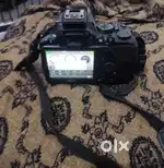 DSLR camera Nikon D 3500 DX VR AF-P Nikkor 18-55mm
