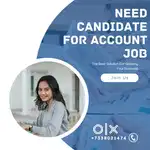 Accounts receivable executive