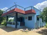 Farm house built on a big piece of land 1.2 acres near main road
