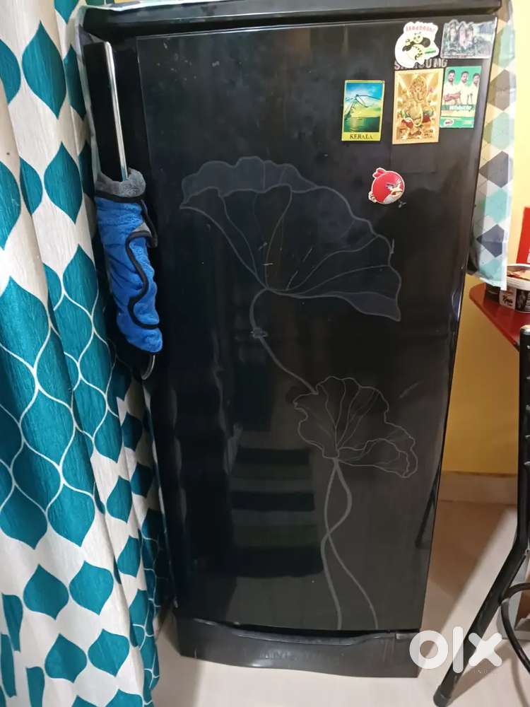 Samsung fridge