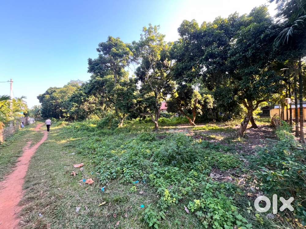 Commercial space in RENT / LEASE in khetri