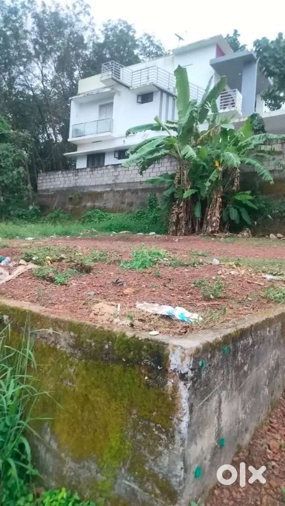 6+6 12 cent for sale in maruthummoodu Ayiroopara