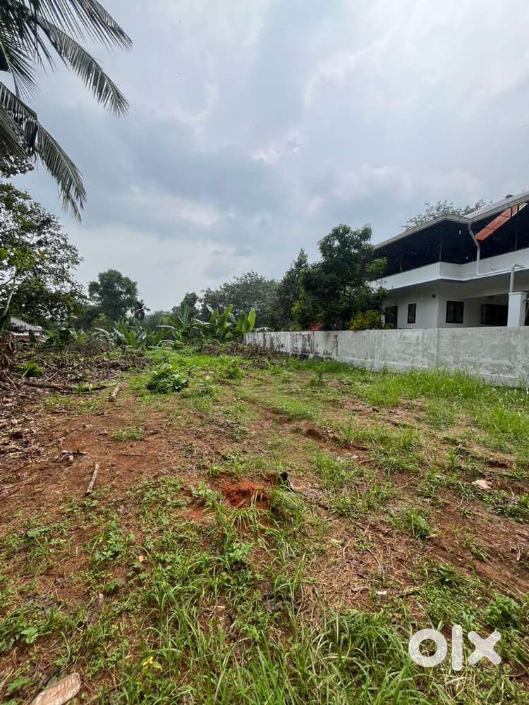 10 Cent Square Plot for Sale – Just 2 KM from Palai Kurishpalli