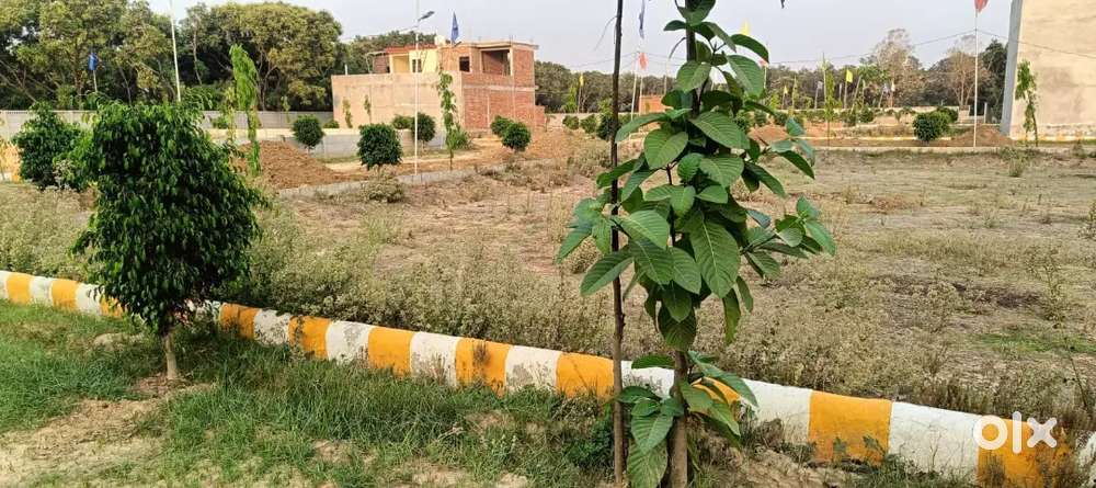 Residential Plot, Form House