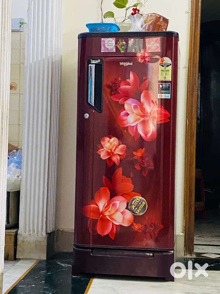 Whirlpool Maroon Color Fridge