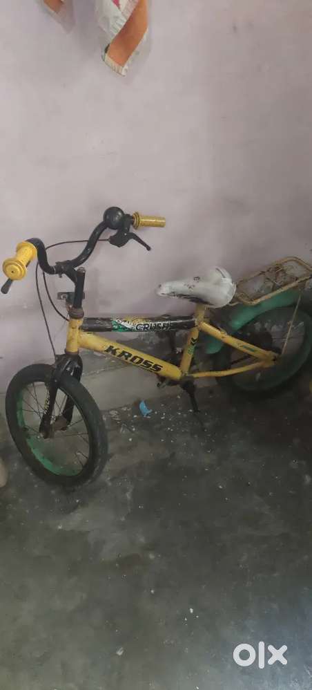 Child cycle