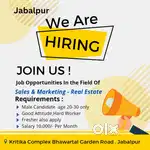 Job opening Sale excutive for Real Estate