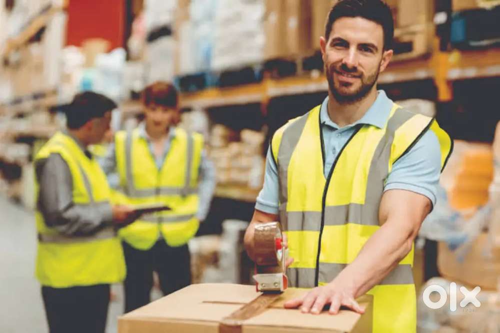 Picker, Packer & Loader Vancany 100% Job grantee
