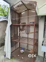 Birds cage
