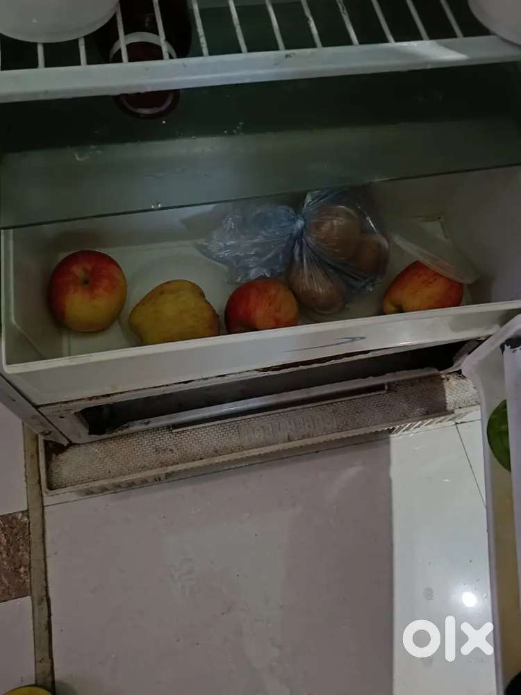 Kalvinator telfon non stick fridge