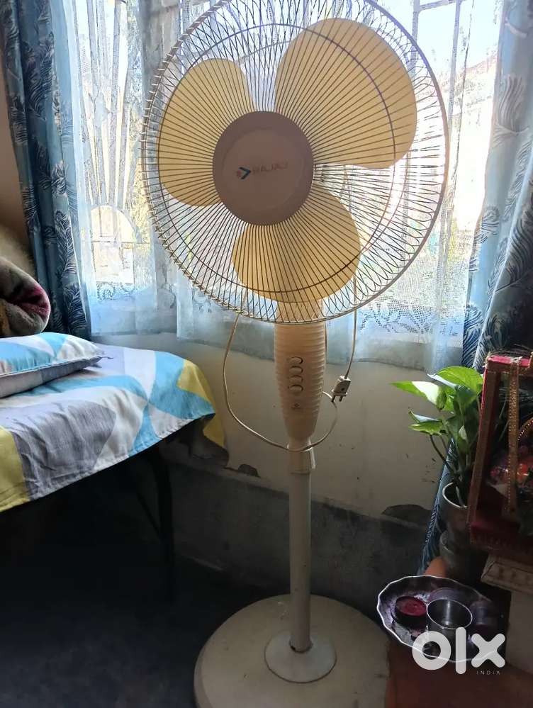 Bajaj Stand fan