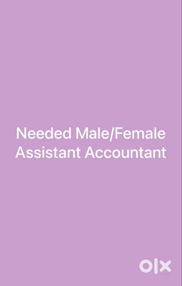 Assistant Accountant