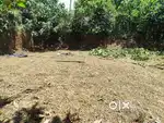 RESIDENTIAL READY TO BUILD KARA  BHOOMI PLOT PLOT FOR SALE