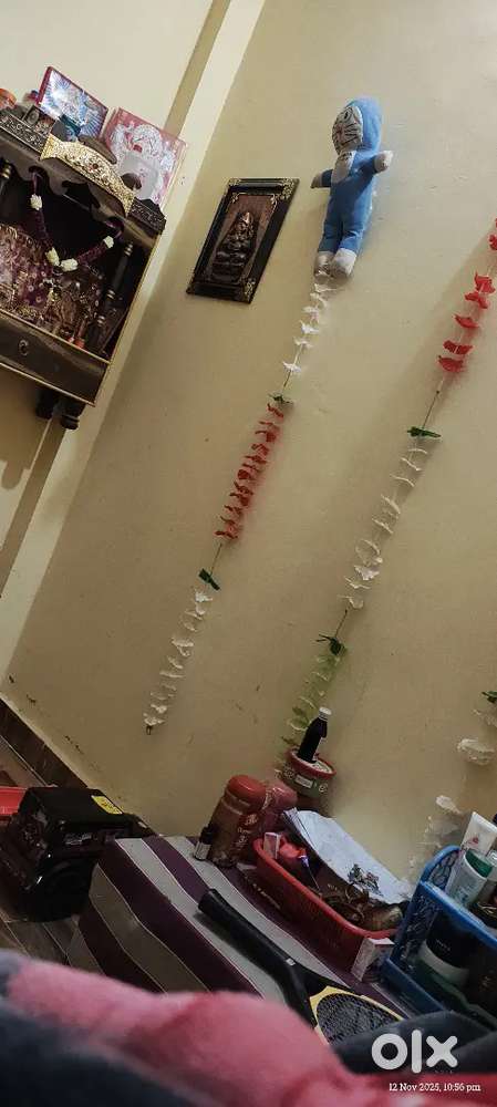 Room mate chahiye mai fauji wife hu akele rhti hu ghr bda liya h