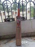 Cricket bat