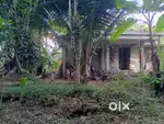 48 cent house with rubber Land for sale