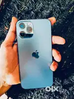 12 pro maxx