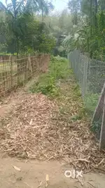 1.5 kotha bari mati