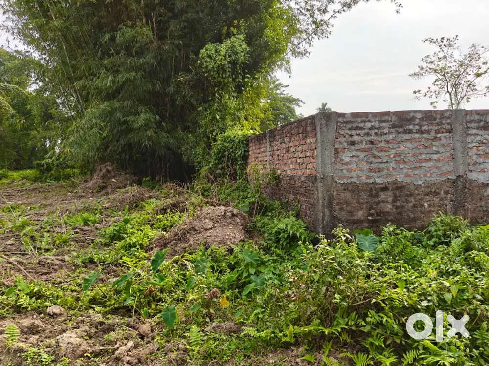 3kotha 5 lesa bari mati