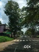 Thodupuzha muvattupuzha highway front 19 cent for sale