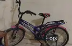 Cycle 10-12 year age criteria