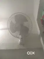 Big size High Speed Wall Fan