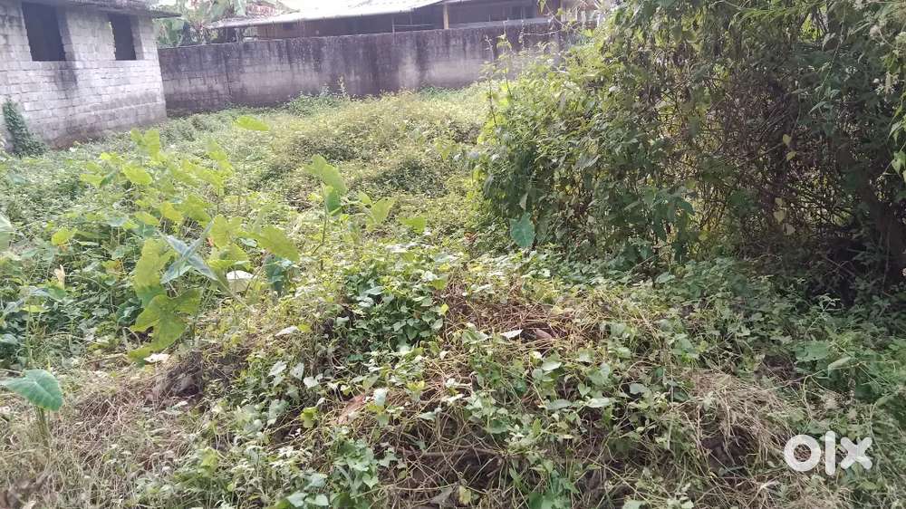 Panangadu  5 cent PLOT for sale₹ 5.5 lakh
