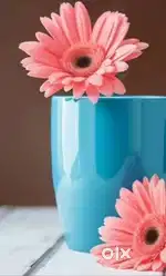 Fantastic Commercial Shop