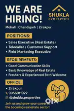 Real esatate job