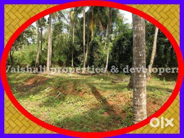 5 cents Residential Plot for sale in near PM Kutty Road, Karaparambu