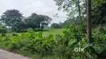 Land for sale
সাড়ে 5 বিঘা জমি 
Price only : 1.05cr