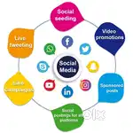 Need Social Media Content Creator for my business