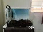 Aquarium Tank -  50 Cm - 50 L capacity