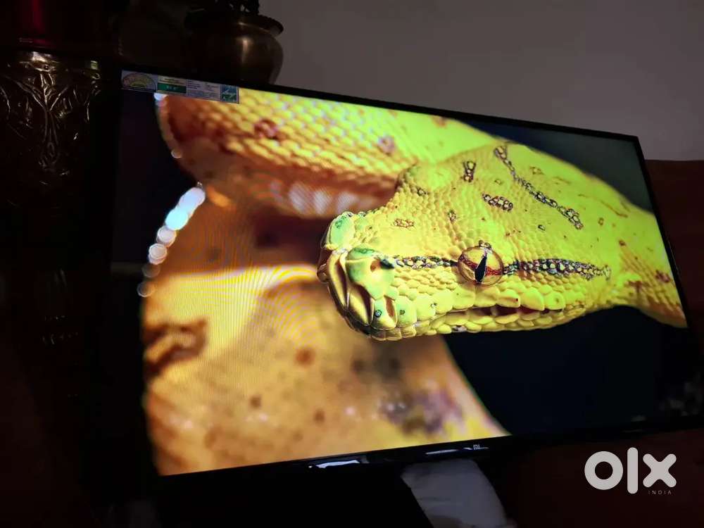 Mi 43 inch Android LED