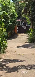 Kottiyam - Holycross Road
