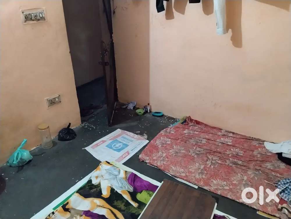 Room mate needed
