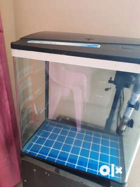 Aquarium with filter and heater, good condition