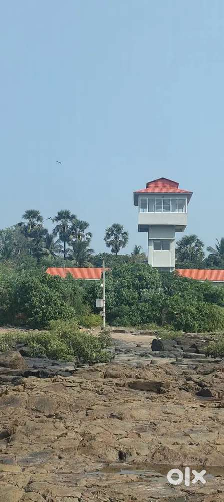 1 girls and 2 Boys Required